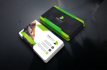 Car Line Business Card Template Screenshot 2